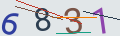 verifycode